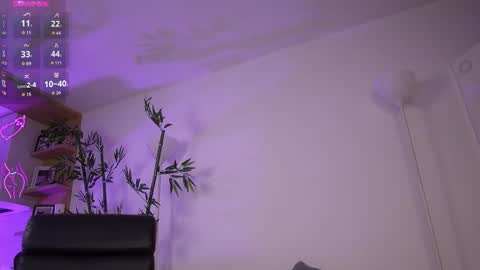  Jessica Pratt  IG jessicaxpratt online show from March 8, 2:04 am