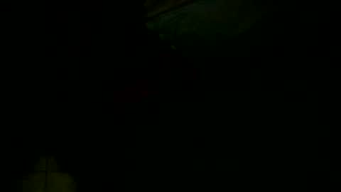 dovedianna online show from December 16, 4:02 am