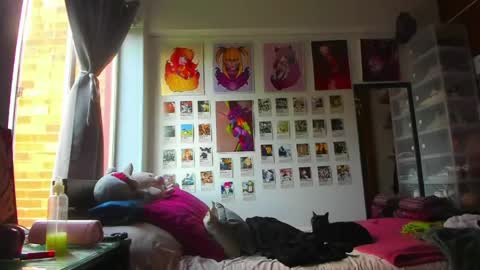Snapshot of jessie_williams_01 chatting on May 15, 9:11 pm Your Sweet Angel online show from May 15, 9:11 pm