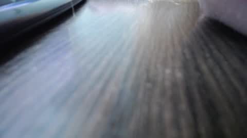 Jess online show from December 7, 10:34 am