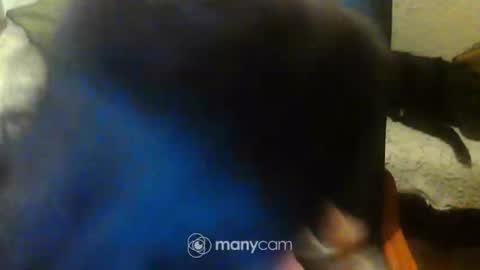 Snapshot of jessjess4you chatting on February 15, 11:47 pm jessjess4you online show from February 15, 11:47 pm