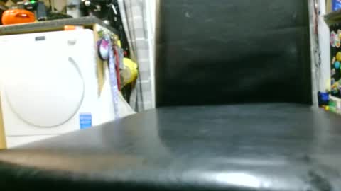 jez619 online show from November 4, 8:24 am