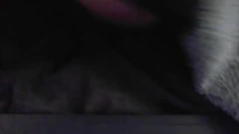 JimmyC online show from May 13, 6:33 am