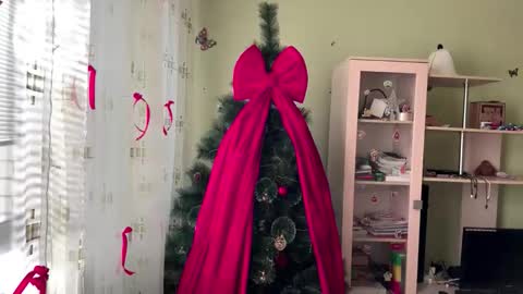 Jinny online show from December 14, 9:03 am