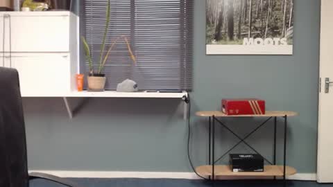 JamesJan van Rebel online show from December 13, 11:34 am