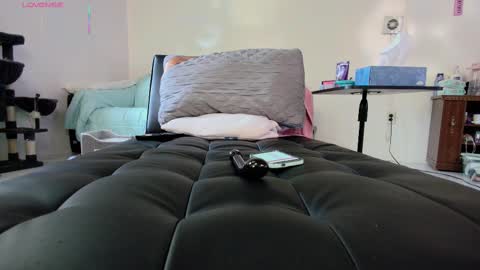 Snapshot of jjjust4fun1985 chatting on September 18, 10:01 pm Nicole Allen online show from September 18, 10:01 pm