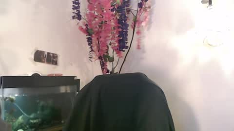 Nick online show from December 6, 4:17 pm