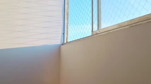 Joel Callvil online show from January 17, 11:59 am