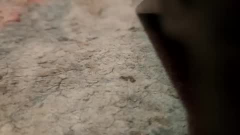 joemancini643 online show from September 21, 2:13 am