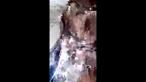 johan3084 online show from April 9, 9:31 pm