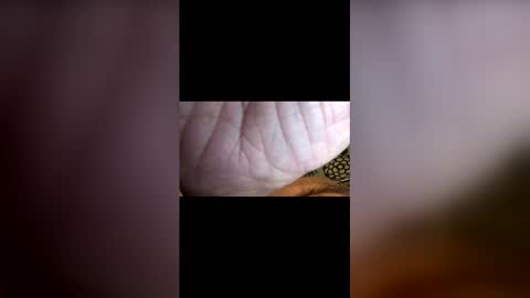 john091254 online show from April 26, 2:53 am