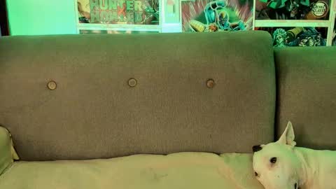 John carrie    Independent  Help me reach my goal 100 likes and 10000 followers  online show from September 28, 4:18 am