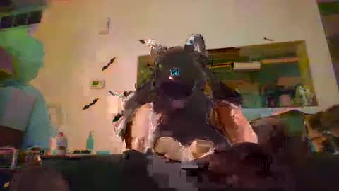 johnnyadepth online show from November 1, 1:07 am