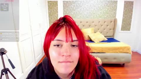 Jolie price  online show from March 10, 10:37 am