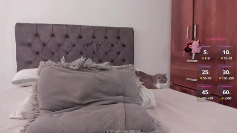 Will online show from February 28, 6:53 pm