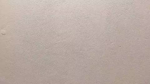 joseph palacios online show from September 13, 6:51 pm