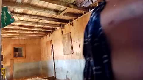 Snapshot of joshnewman540 chatting on September 14, 7:02 pm joshnewman540 online show from September 14, 7:02 pm