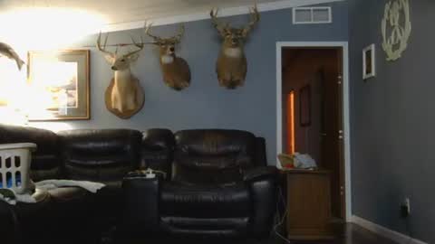 Snapshot of joshua122933 chatting on March 26, 2:28 am Josh online show from March 26, 2:28 am