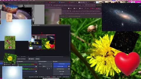 JP Sunflower Angel Love online show from October 13, 9:09 am