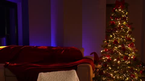 Jennifer Diaz online show from December 21, 6:23 pm