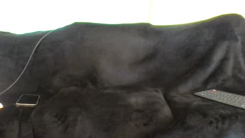 Snapshot of juanmamestre94 chatting on October 7, 1:41 pm juanmamestre94 online show from October 7, 1:41 pm