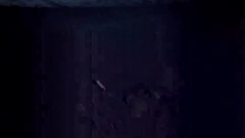 Jugg online show from December 20, 9:16 am