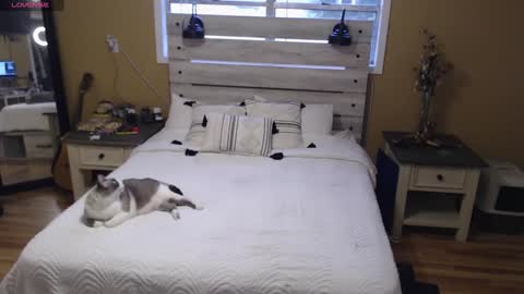 Texas Mamasita online show from January 3, 3:33 pm