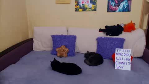 Jul online show from November 4, 11:20 am