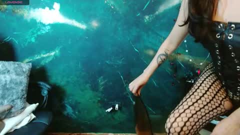    online show from November 19, 5:18 am