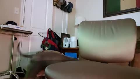 Snapshot of just4fun1523 chatting on January 9, 2:14 am just4fun1523 online show from January 9, 2:14 am