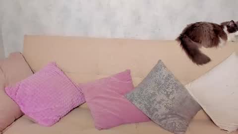 Snapshot of just_alex__ chatting on June 24, 1:15 am Alex Alexandra online show from June 24, 1:15 am