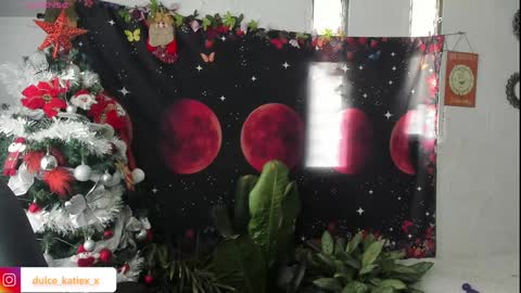 Snapshot of just_katiex chatting on December 31, 9:28 pm Sofia online show from December 31, 9:28 pm