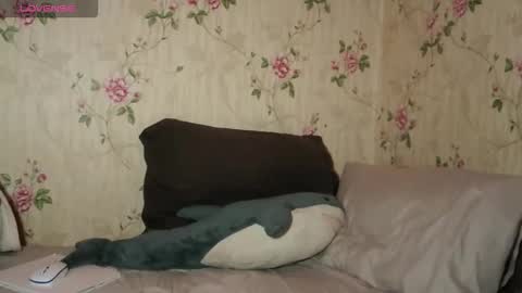 Melissa online show from January 12, 5:40 pm