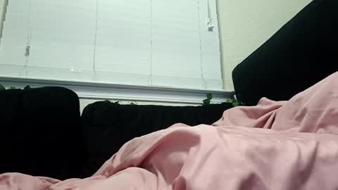 Snapshot of justfuckn chatting on January 26, 6:38 am LOYALTY online show from January 26, 6:38 am