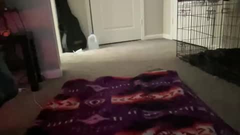 Snapshot of justincase5280 chatting on March 14, 10:42 am JustinCase online show from March 14, 10:42 am