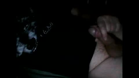 justpervfun online show from December 8, 6:39 pm