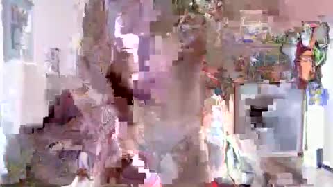 juteja online show from October 3, 8:44 am