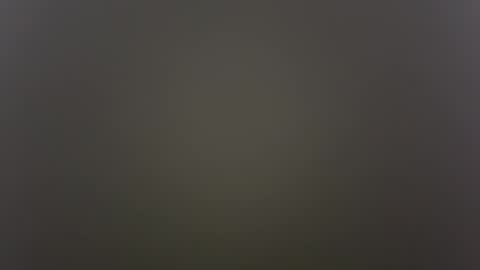 Snapshot of kailaxxxkandy chatting on October 30, 8:49 am          Anime Goth Kaila Kitty Kandy          online show from October 30, 8:49 am