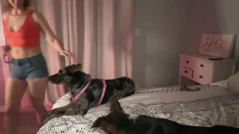 Snapshot of kaileeshy chatting on February 12, 4:54 am Kailee Smile online show from February 12, 4:54 am