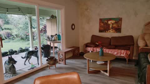 Kailee Smile online show from January 8, 3:42 am