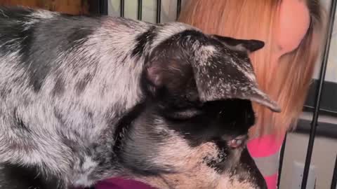 Kailee Smile online show from March 29, 4:45 am