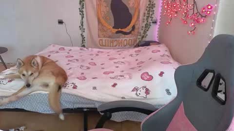 Kessy online show from March 12, 6:41 am