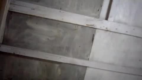 kakaroto30102 online show from February 17, 8:09 am