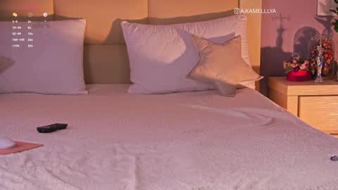 Snapshot of kamelllya chatting on February 2, 8:35 am Kamelllya online show from February 2, 8:35 am