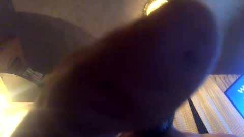 Snapshot of kaneisyours2420 chatting on September 23, 8:06 am Tucker online show from September 23, 8:06 am