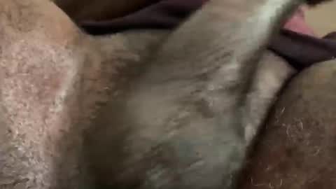 Snookie online show from December 5, 9:39 am