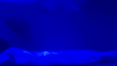 Karla Gonzaless online show from November 2, 6:49 am