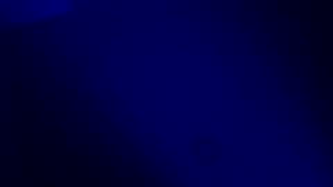 Karla Gonzaless online show from November 19, 7:30 am