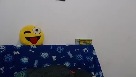    online show from January 13, 7:00 am