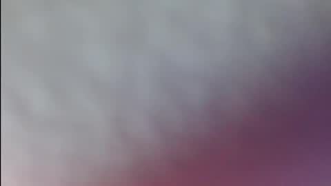 karol online show from April 7, 5:46 pm